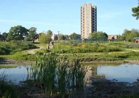 Mansel Park 