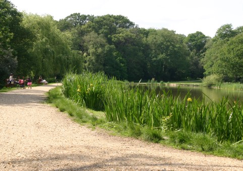 Southampton Common