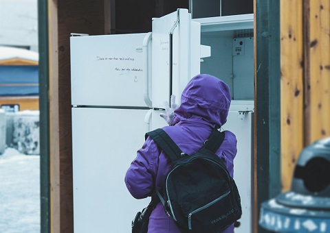 Child searching empty freezer