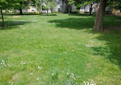Parc Centrale