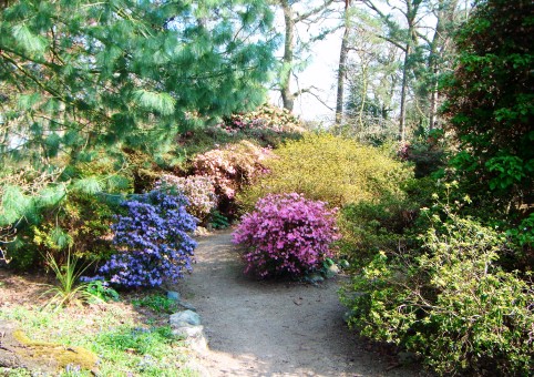 Mayfield Park