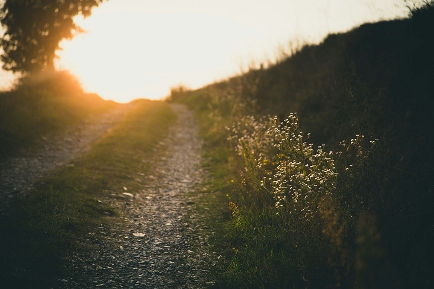 A country path at sunset