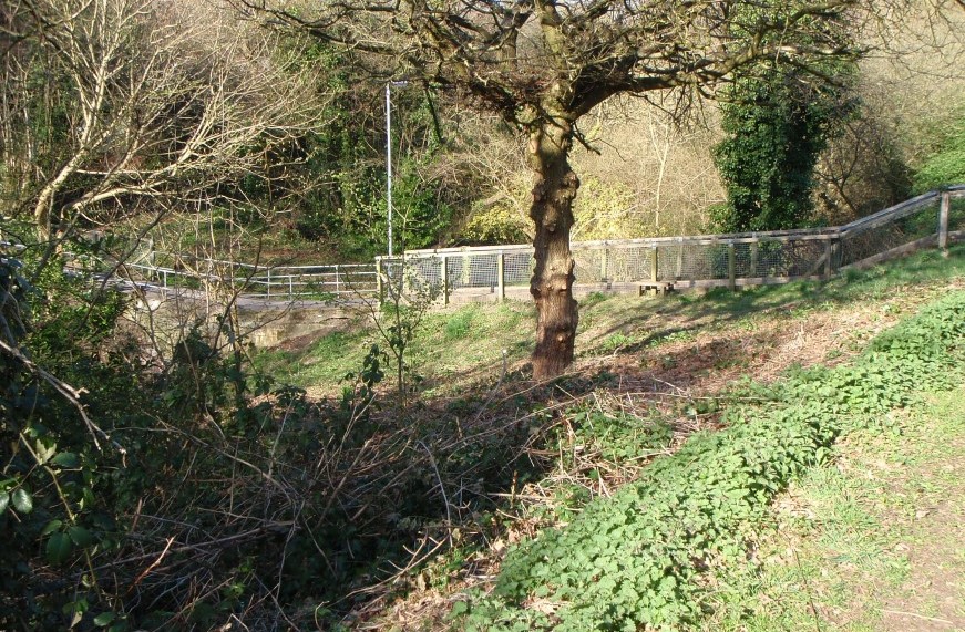 Broadlands Valley Greenway