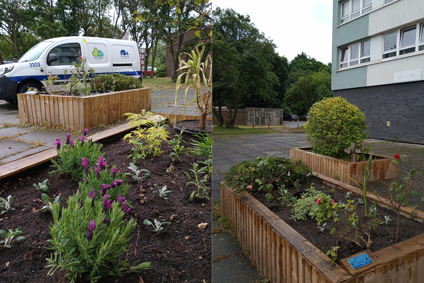 Two Images Of Flower Beds Two Images Of Flower Beds