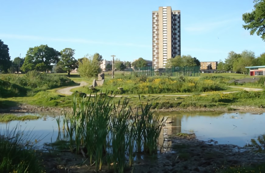 Mansel Park
