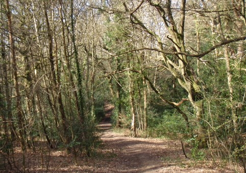 Lords Wood Greenway