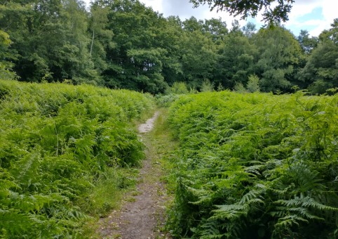 Aldermoor Open Space
