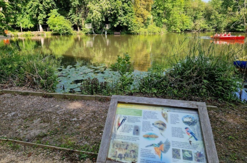 The water at Woodmill