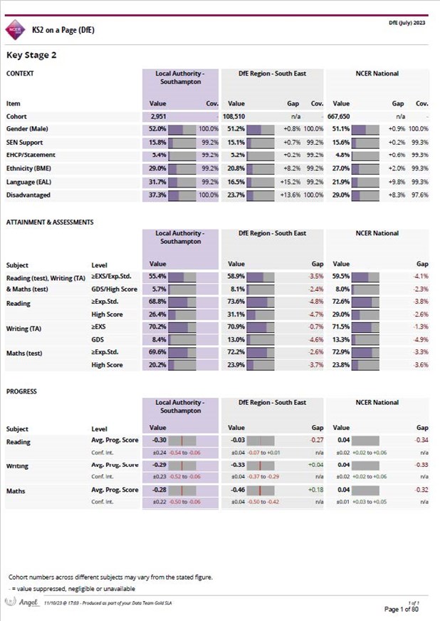 Nova Analysis Report