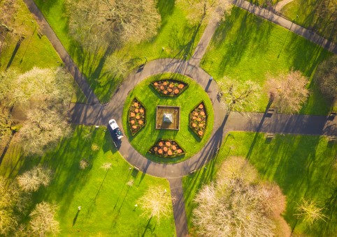 Aerial view of park with trees