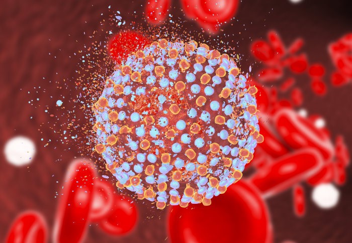 hepatitis C virus