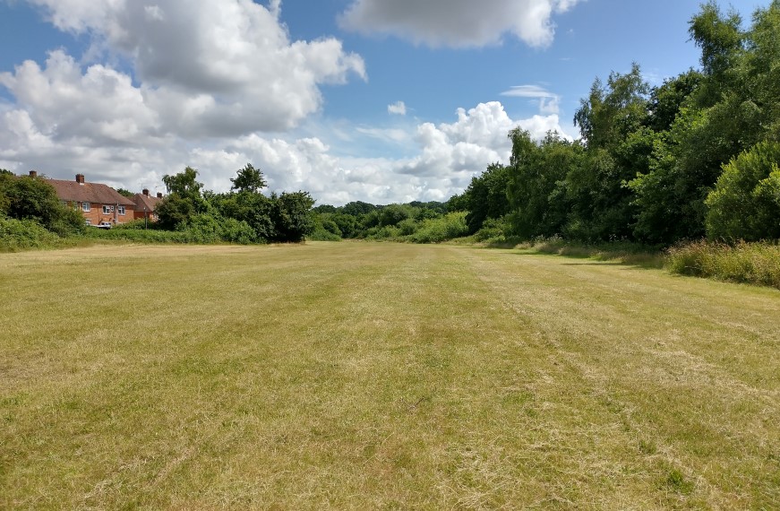 Olive Road Rec