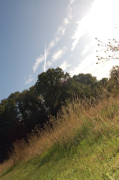 Southampton Common