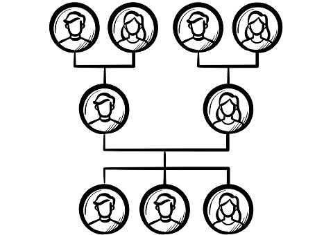 Family tree graphic