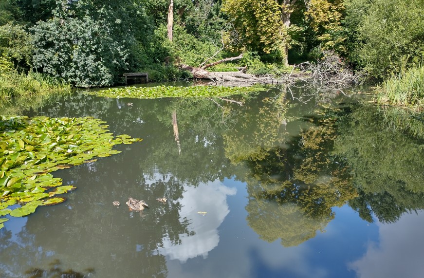 Cromarty Pond