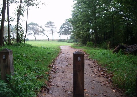 Abbey Hill 