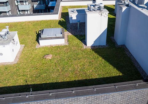 Green roof