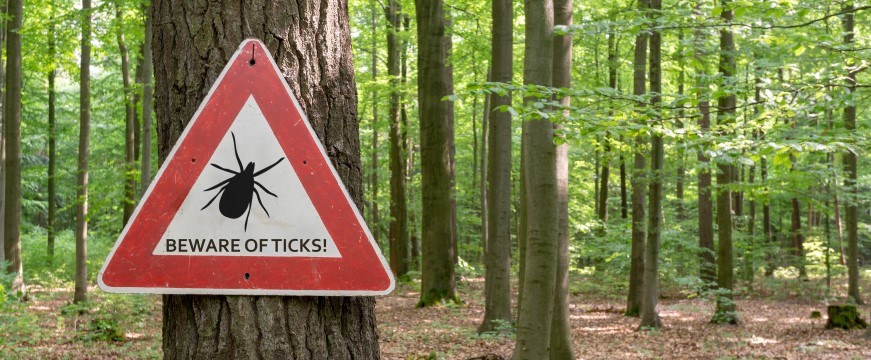 A sign in a forest saying "Beware of ticks!"