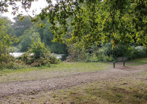 Shirley Pond