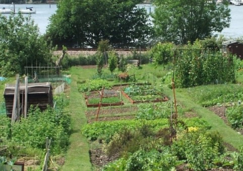 Allotment