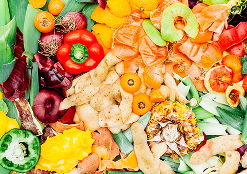 Food waste