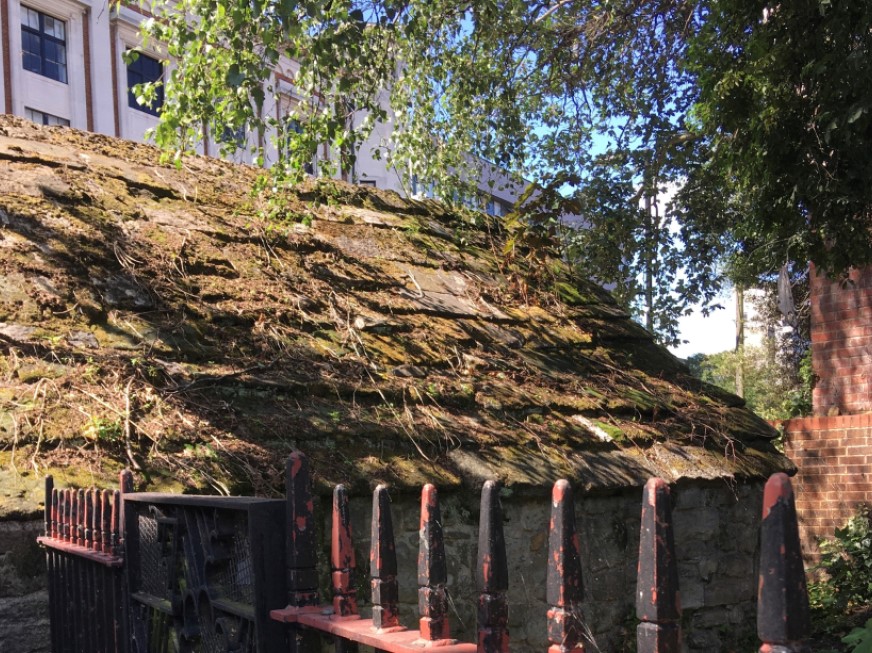 Conduit House roof