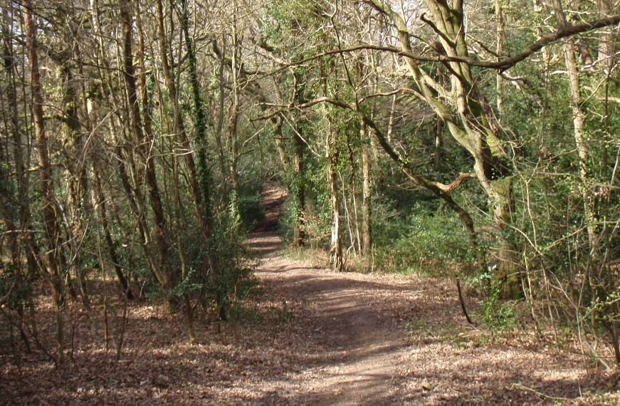 Lords Wood Greenway