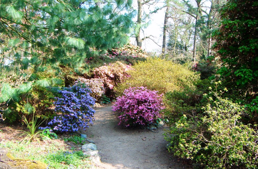 Mayfield Park