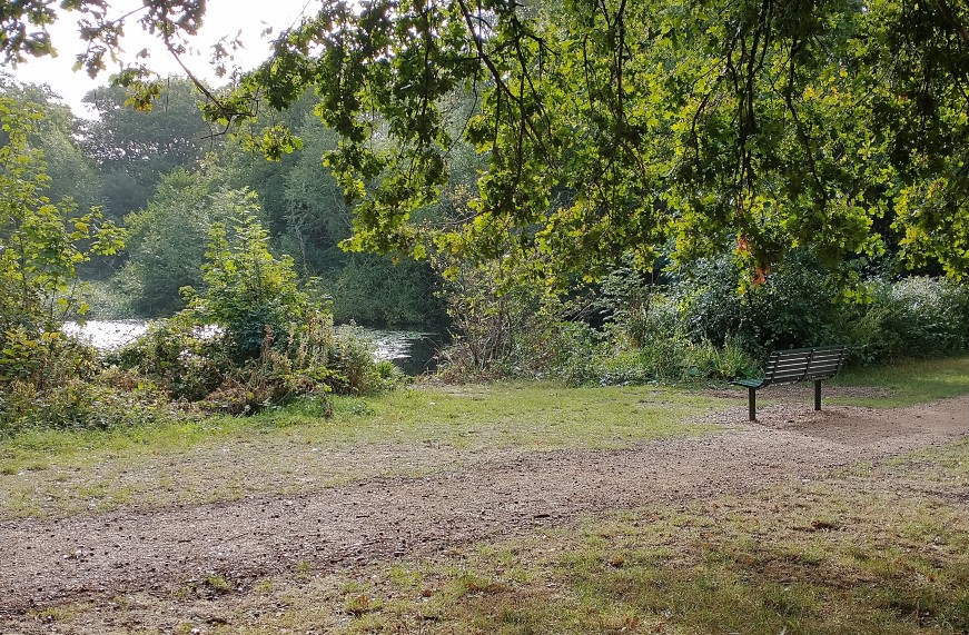 Shirley Pond