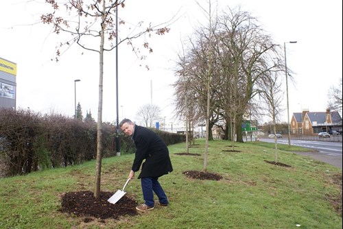 Cllr Leggett planting trees