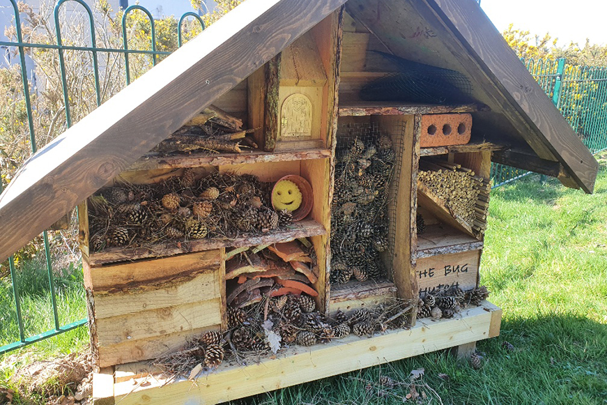 ESTATE IMPORVEMENTS BUG HOUSE 871X581