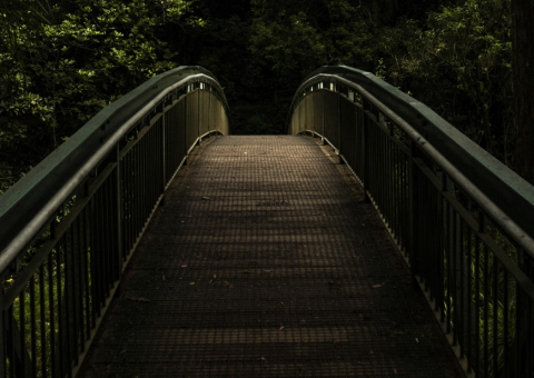 A footbridge in the woods