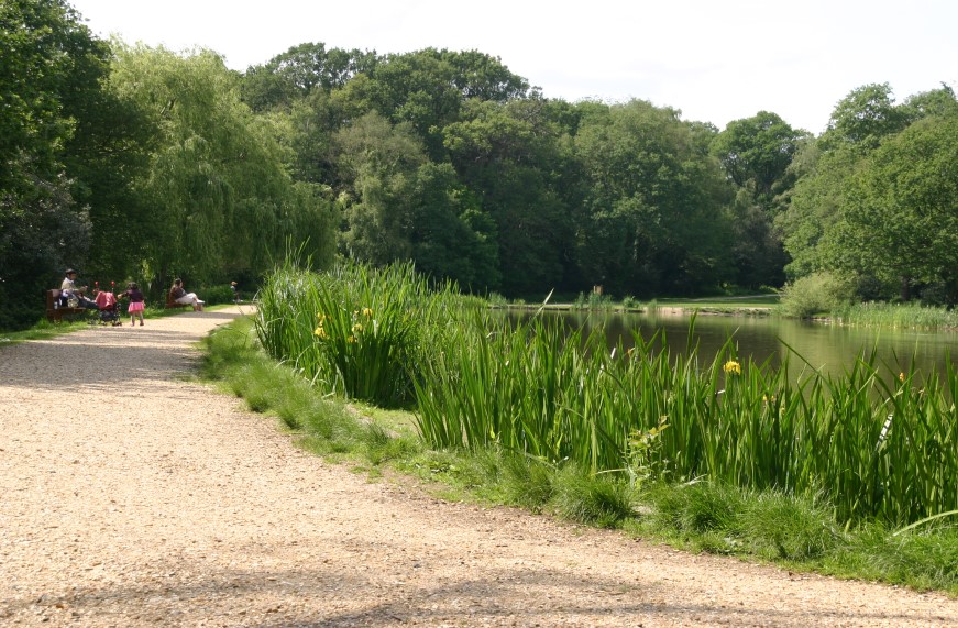Southampton Common
