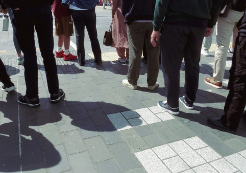 A large group of adults 