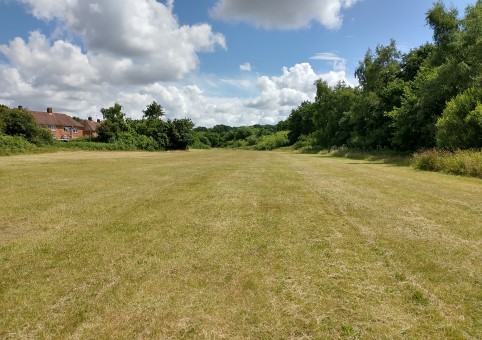 Olive Road Rec