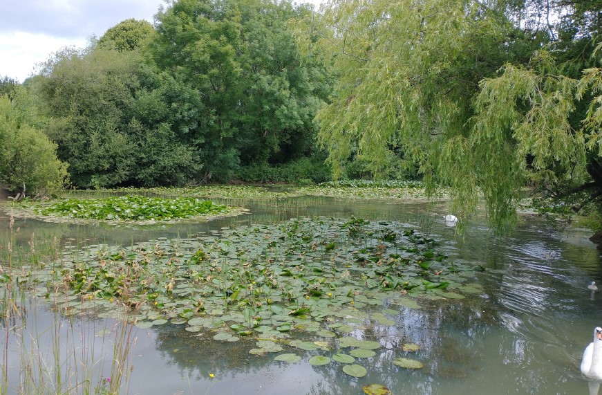 Mansbridge Open Space