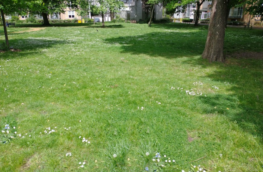 Parc Centrale