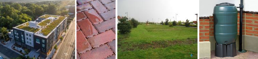 Examples of drainage and water storage, including a living roof, brick pavement, and a water butt