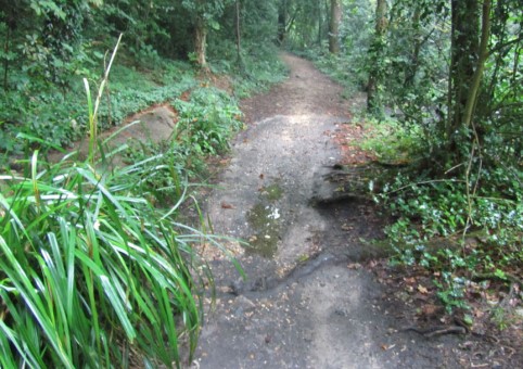 Shoreburs Greenway