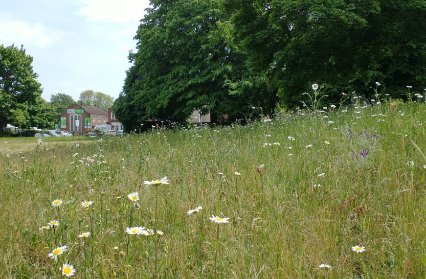 Summers Street Park