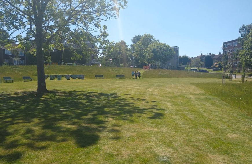 Townhill Green