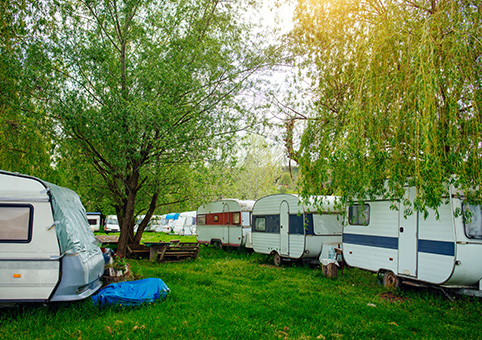 Caravans on a grassy area with trees