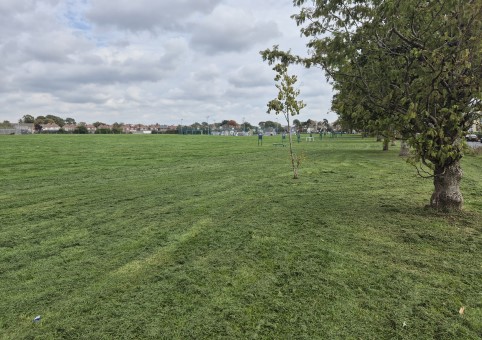 Veracity Ground 