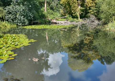 Cromarty Pond