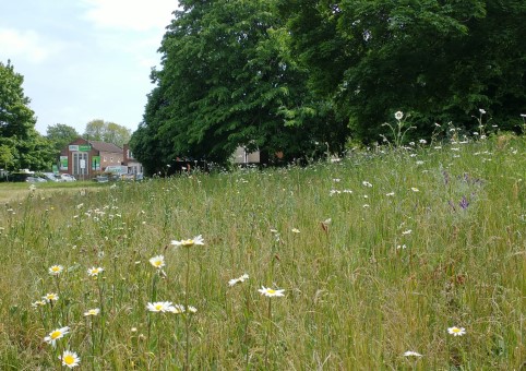 Summers Street Park
