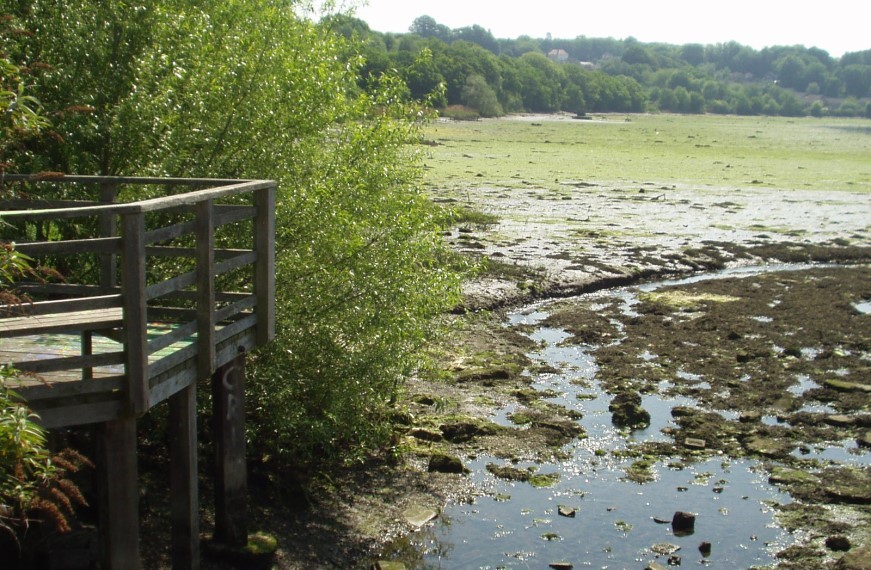 Chessel Bay