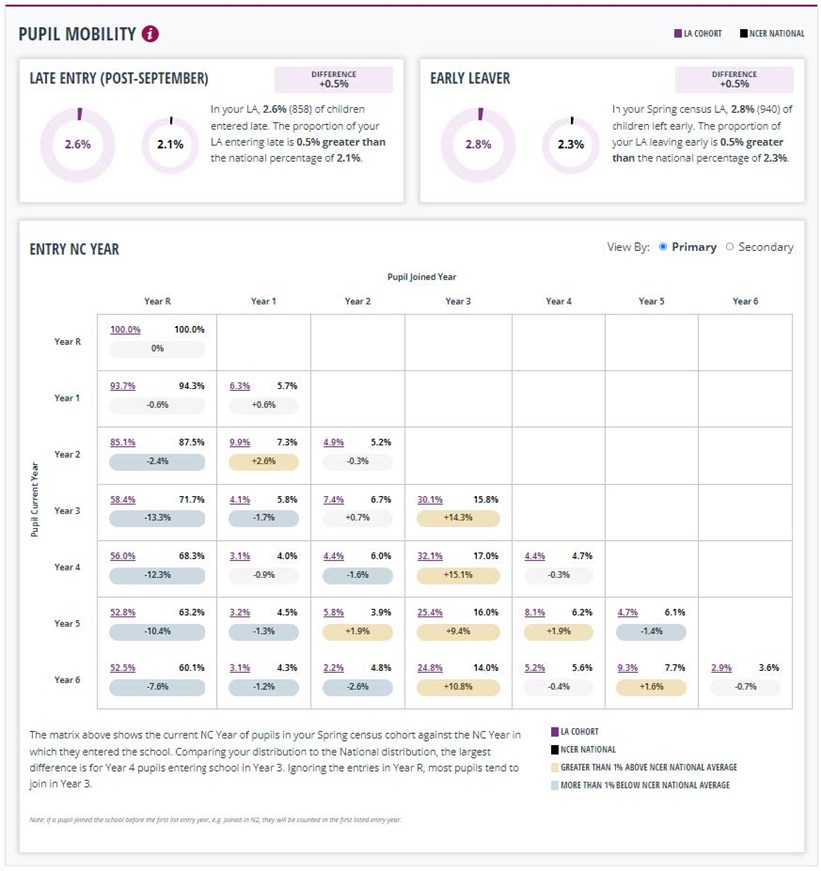 Perspective Light Insight (Analysis) School Census Cohort report