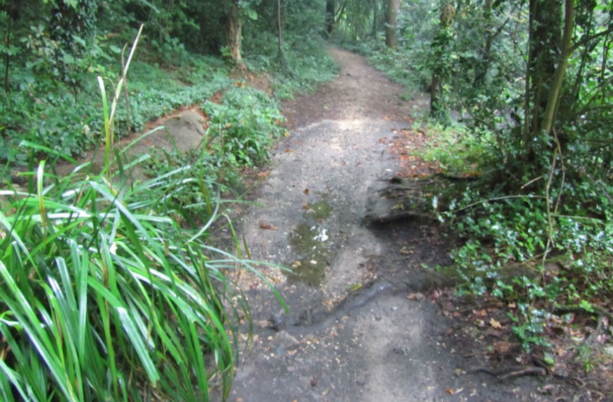 Shoreburs Greenway