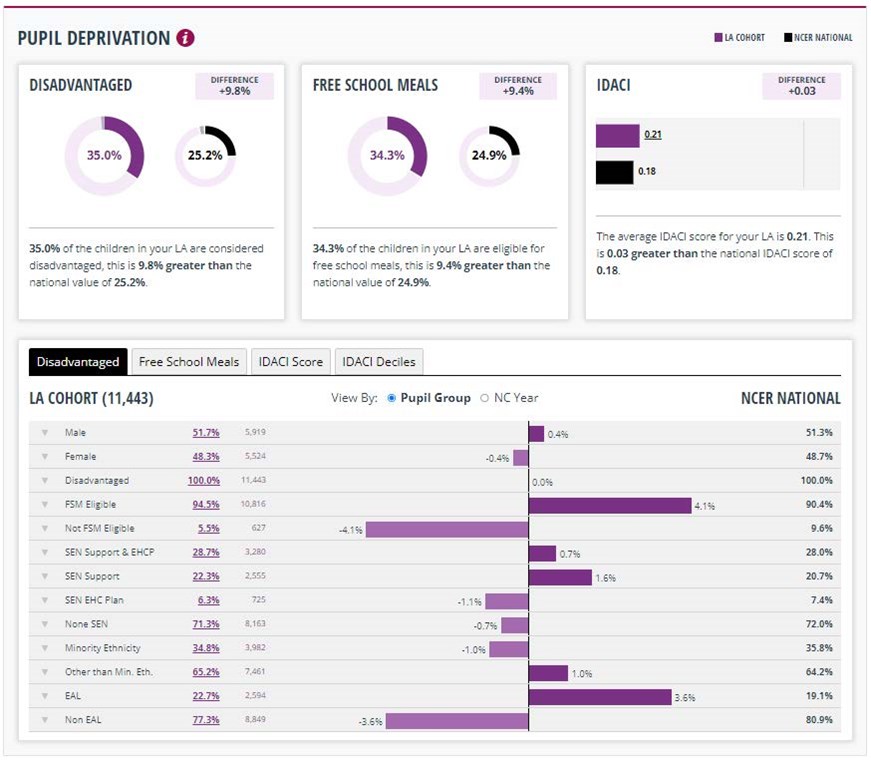 Perspective Light Insight (Analysis) School Census Cohort report