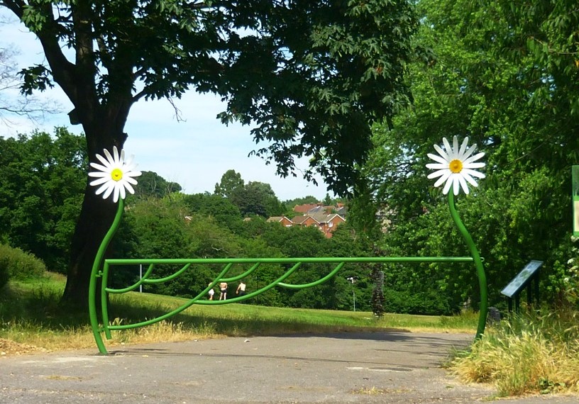 Daisy Dip